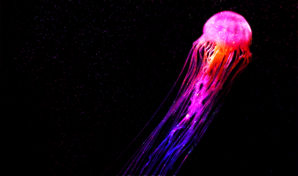 The Adventure Zone’s “Balance” Arc Is Ending, And I’m Not Ready&nbsp;(Spoilers)